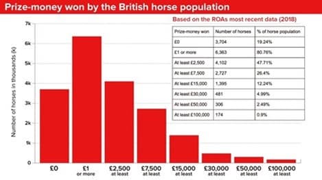 British horse population